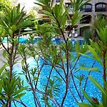 Apartmán Kalia, Sunny Sluneční pobřeží