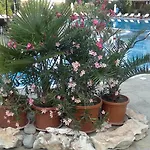Kalia, Sunny Apartmán