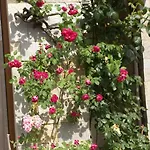 Apartmán Kalia, Sunny