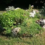 Apartmán Kalia, Sunny