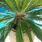 Apartmán Kalia, Sunny *