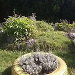 Apartmán Kalia, Sunny