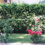 Kalia, Sunny Sluneční pobřeží