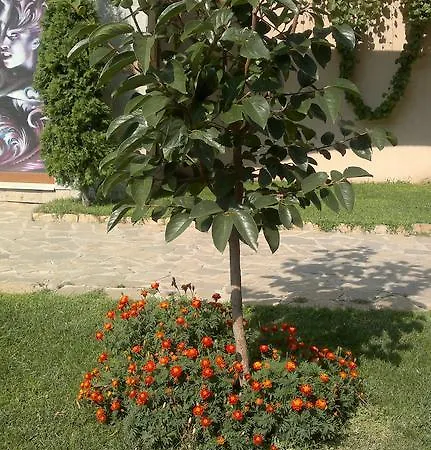 Kalia, Sunny * Sunny Beach