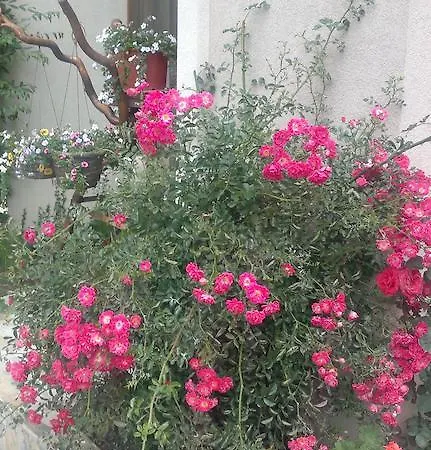 Kalia, Sunny Appartement *