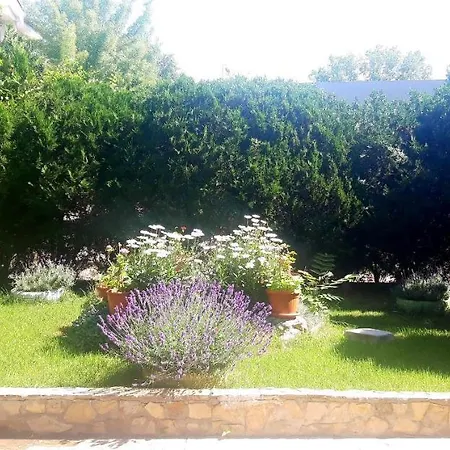 Kalia, Sunny 公寓 阳光海滩