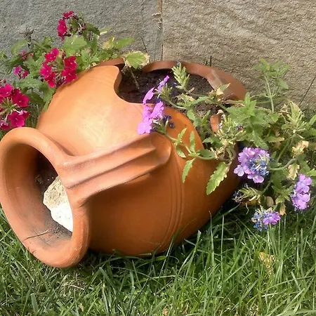 公寓 Kalia, Sunny 阳光海滩