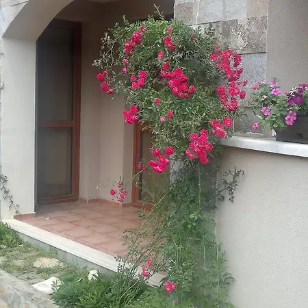 Kalia, Sunny * 阳光海滩