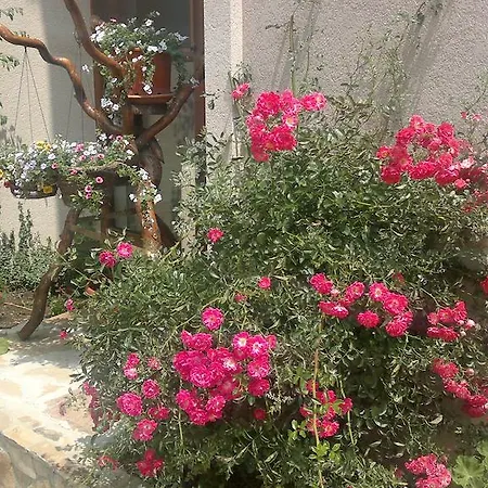 Kalia, Sunny 公寓 阳光海滩