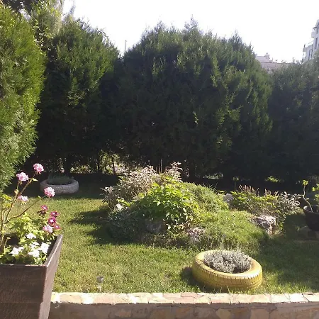 Kalia, Sunny * 阳光海滩